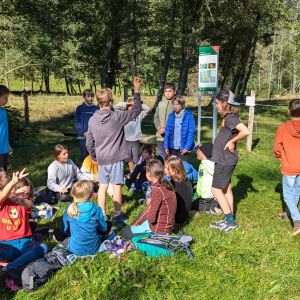 PXL_20240920_083441772.MP