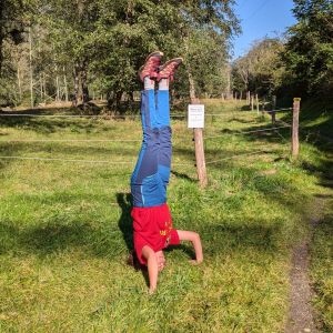 PXL_20240920_083729338.MP