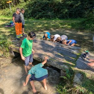 PXL_20240920_111543786.MP