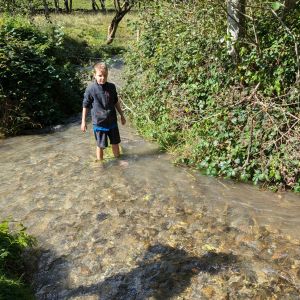 PXL_20240920_111640696.MP