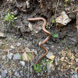 WhatsApp Image 2024-09-23 at 16.55.33 (6)