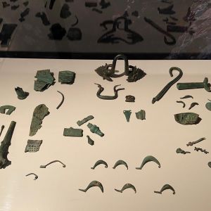 Forum für Schweizer Geschichte (5)