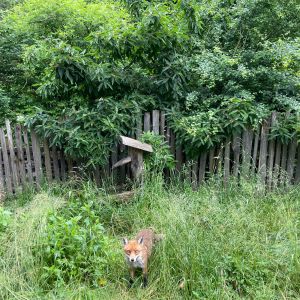 WhatsApp Image 2025-05-28 at 12.52.25