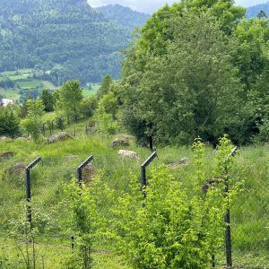 WhatsApp Image 2025-05-28 at 12.52.29 (1)