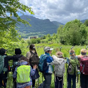 WhatsApp Image 2025-05-28 at 12.52.29